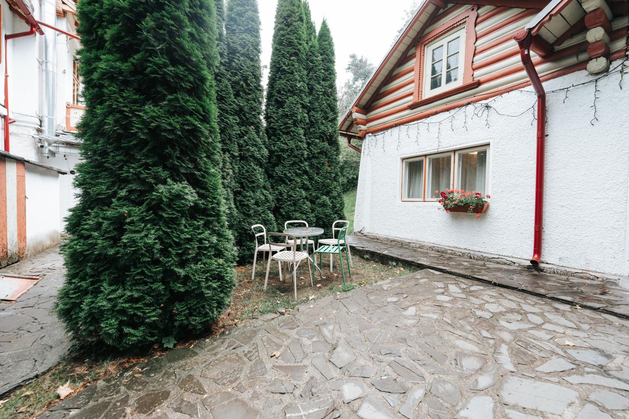 Vila Camelia Sinaia Zewnętrze zdjęcie