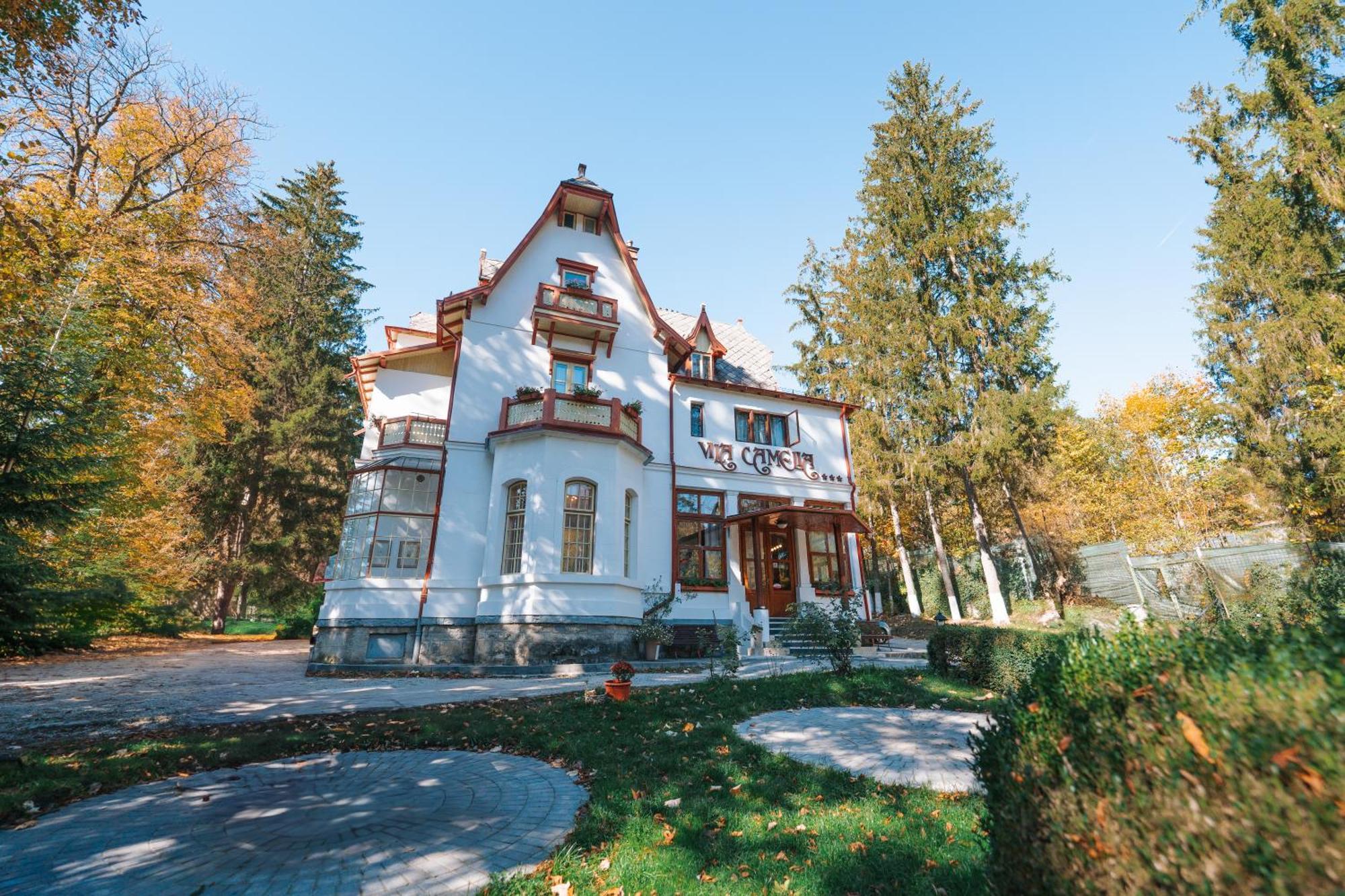 Vila Camelia Sinaia Zewnętrze zdjęcie