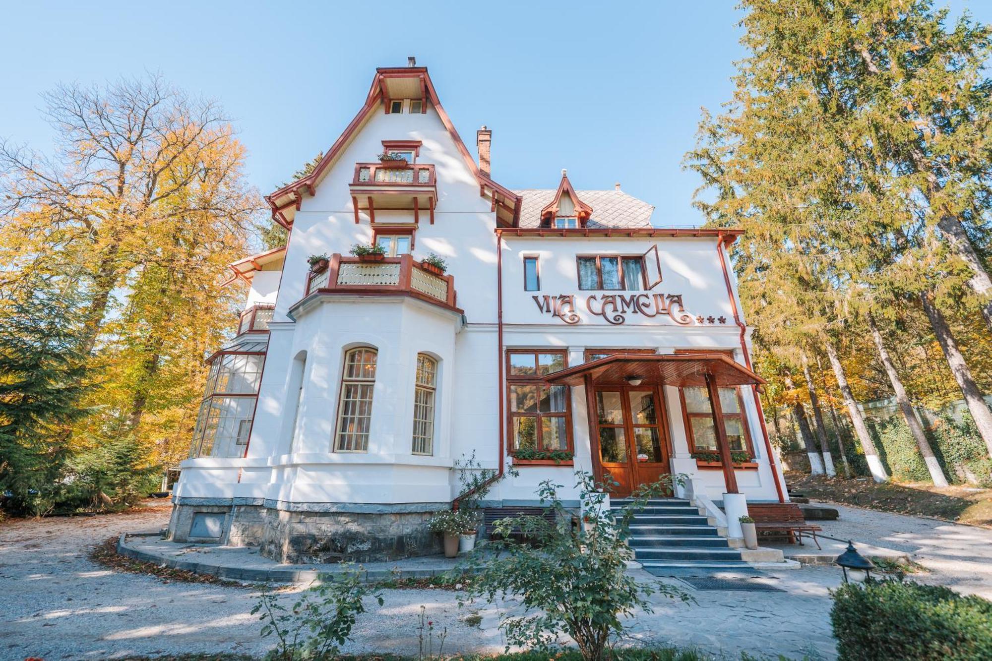 Vila Camelia Sinaia Zewnętrze zdjęcie