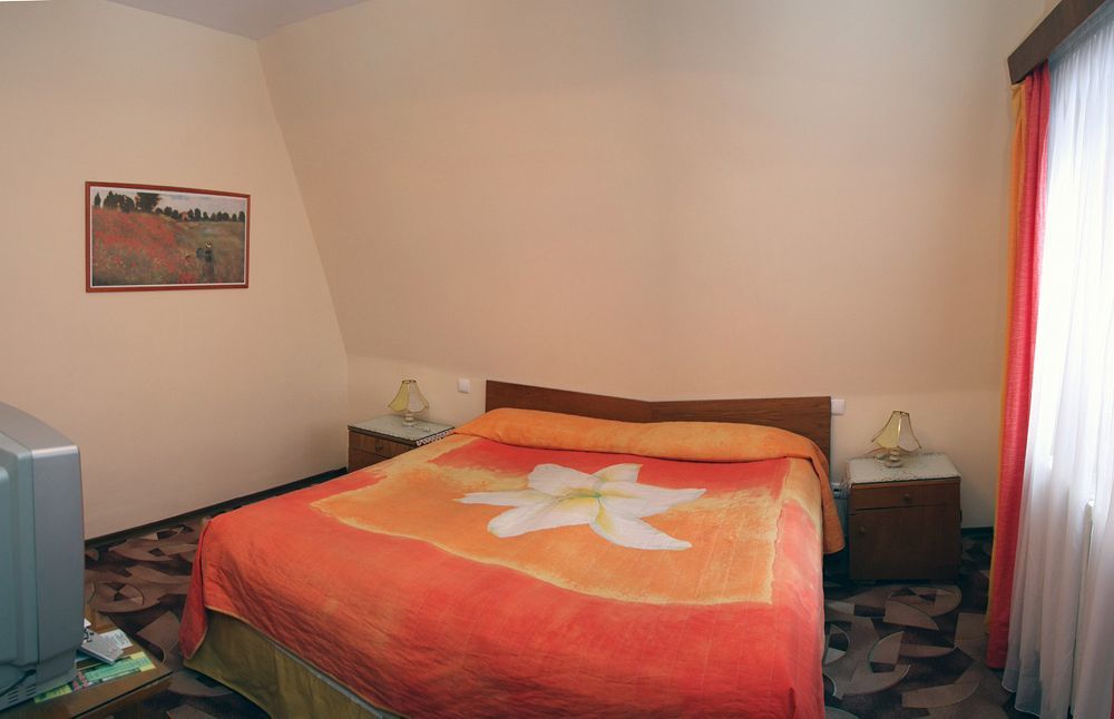 Vila Camelia Sinaia Zewnętrze zdjęcie