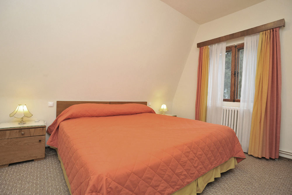 Vila Camelia Sinaia Zewnętrze zdjęcie