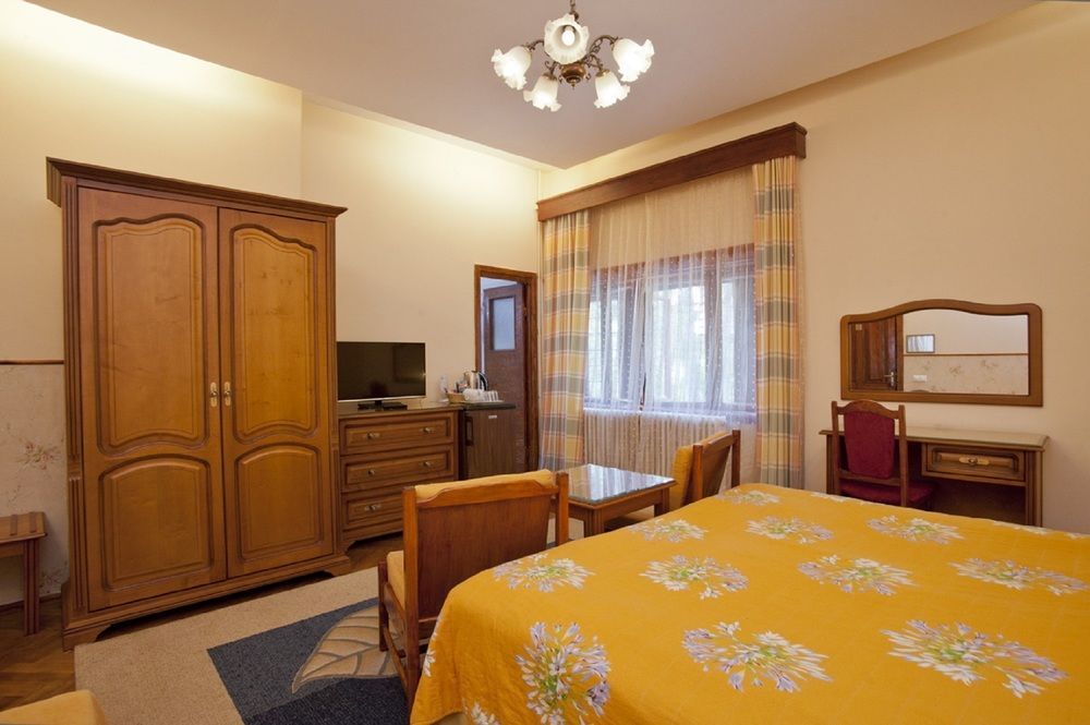 Vila Camelia Sinaia Zewnętrze zdjęcie