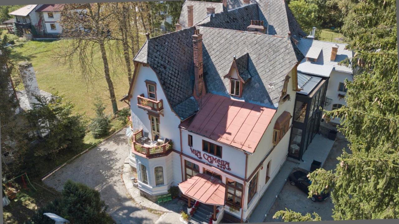 Vila Camelia Sinaia Zewnętrze zdjęcie