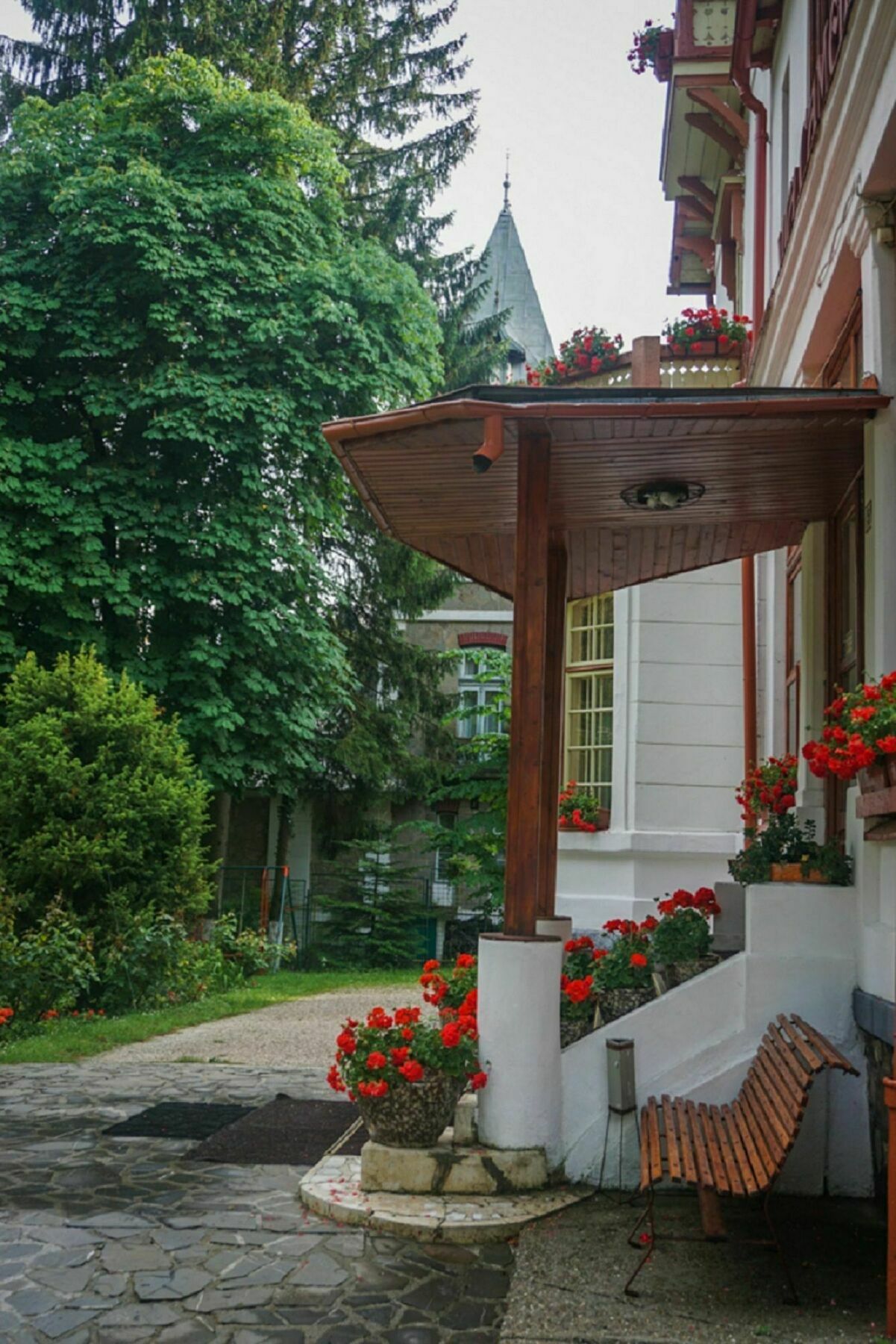 Vila Camelia Sinaia Zewnętrze zdjęcie