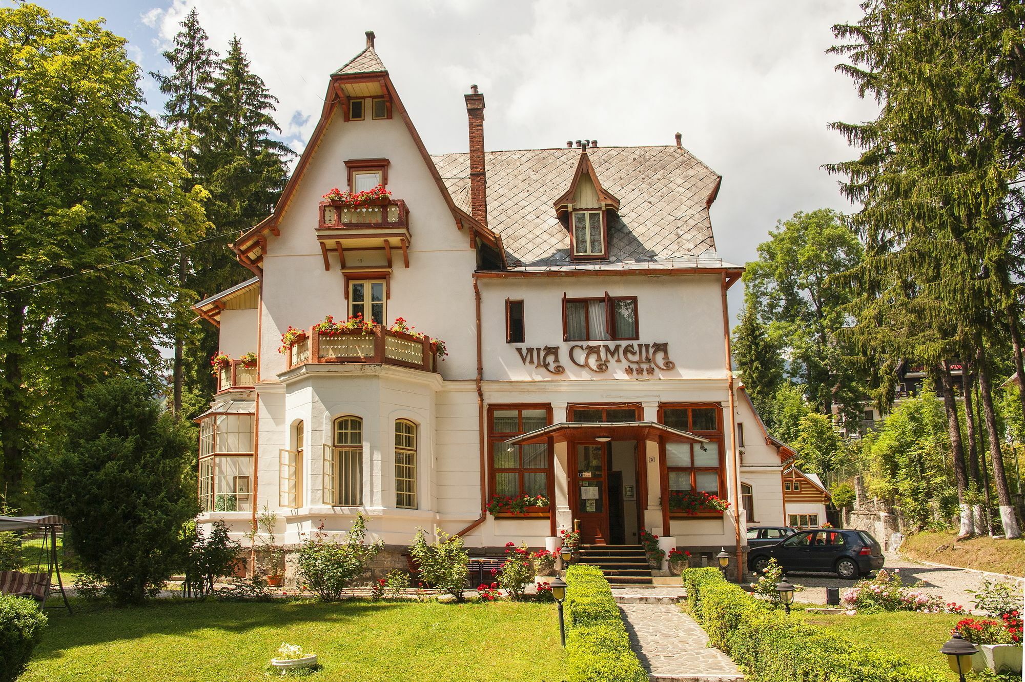 Vila Camelia Sinaia Zewnętrze zdjęcie