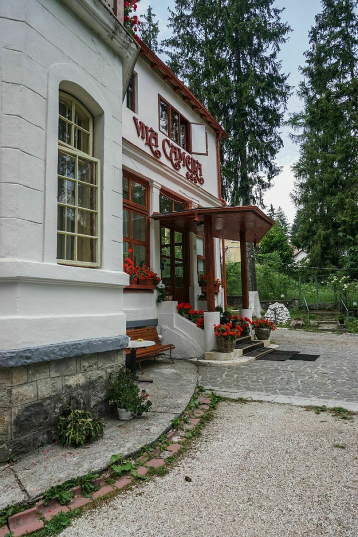 Vila Camelia Sinaia Zewnętrze zdjęcie
